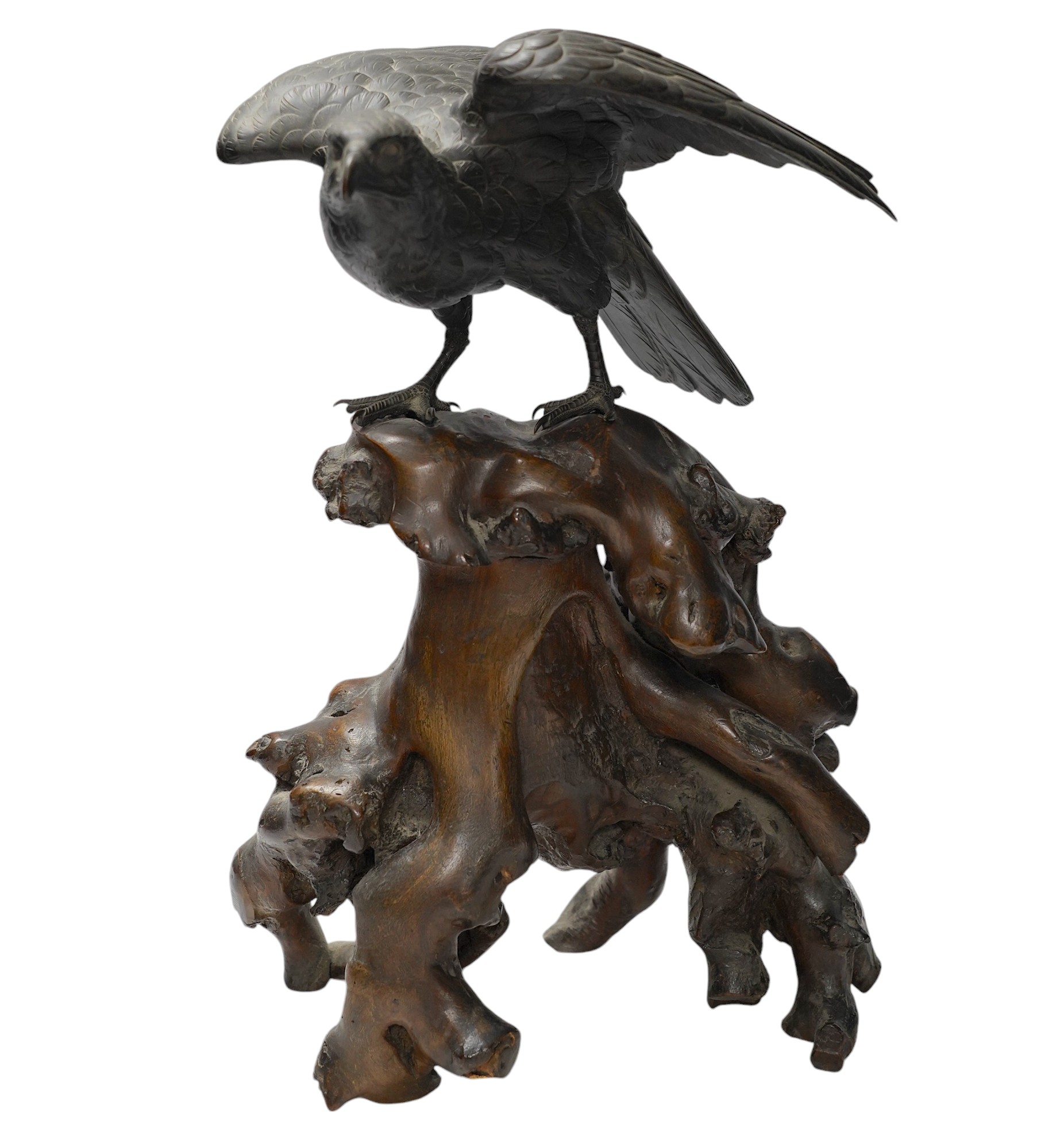 A Japanese Meiji period cast bronze model of a hawk, raised on a naturalistic carved root wood base, signed to tail underside, 39.5cm. Condition - good